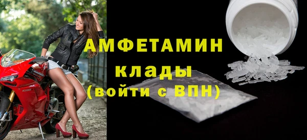молекула духа Арсеньев