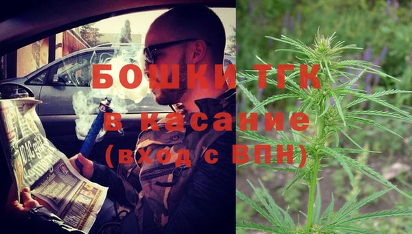 молекула духа Арсеньев