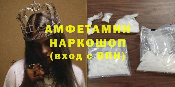 молекула духа Арсеньев